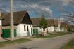 DSC 0460