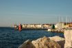 DSC 0558.JPG
